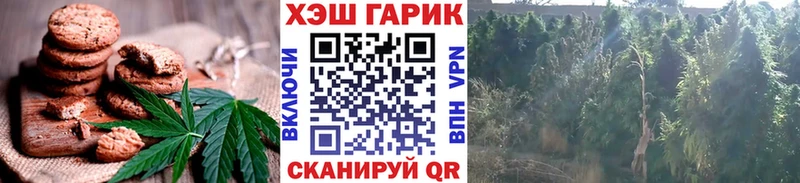 Еда ТГК конопля Ивангород