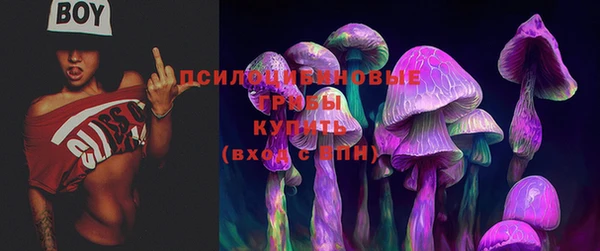 дурь Алзамай