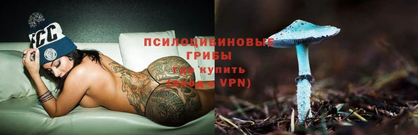 дурь Алзамай