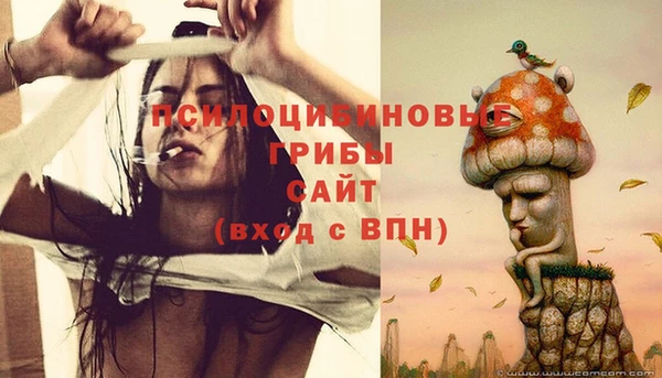 дурь Алзамай
