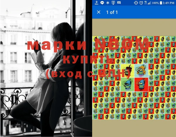 метадон Алексин