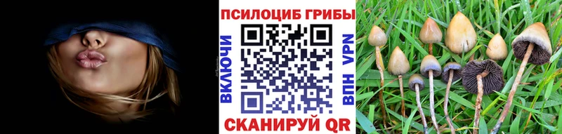 как найти закладки  Ивангород  Псилоцибиновые грибы прущие грибы 