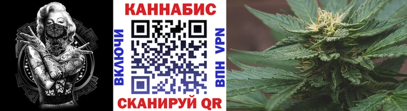 Каннабис индика Ивангород